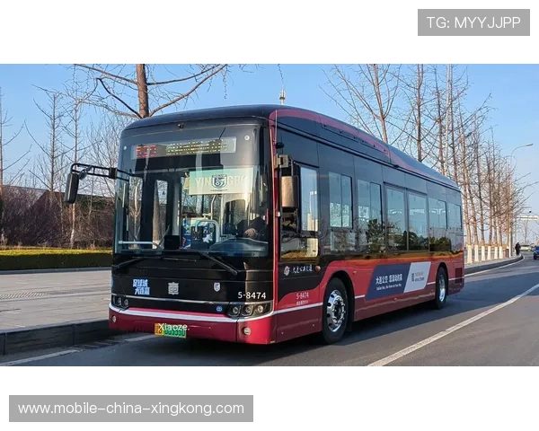 大连英博推进极具力度 大连英博推进极具力度